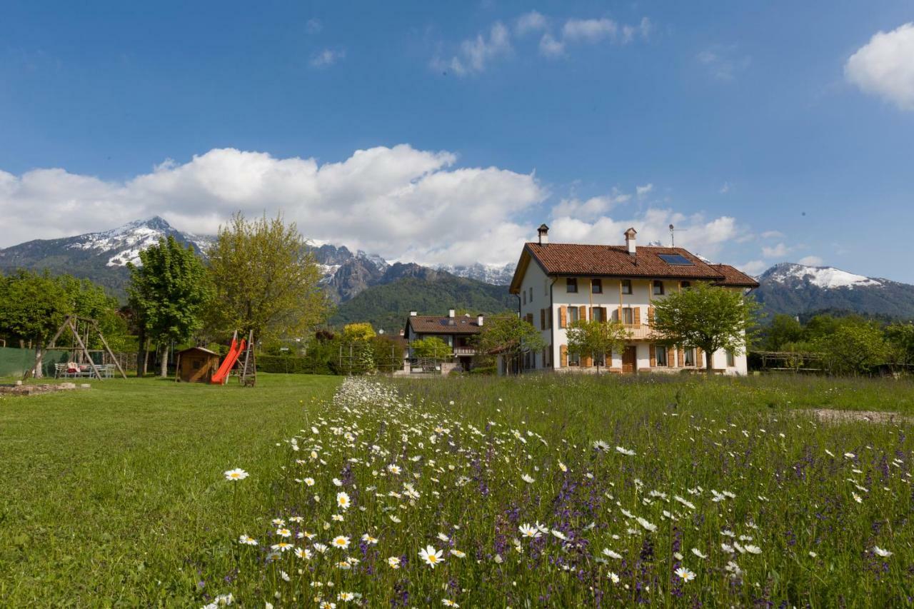 Hotel Lio e Lara Feltre Esterno foto