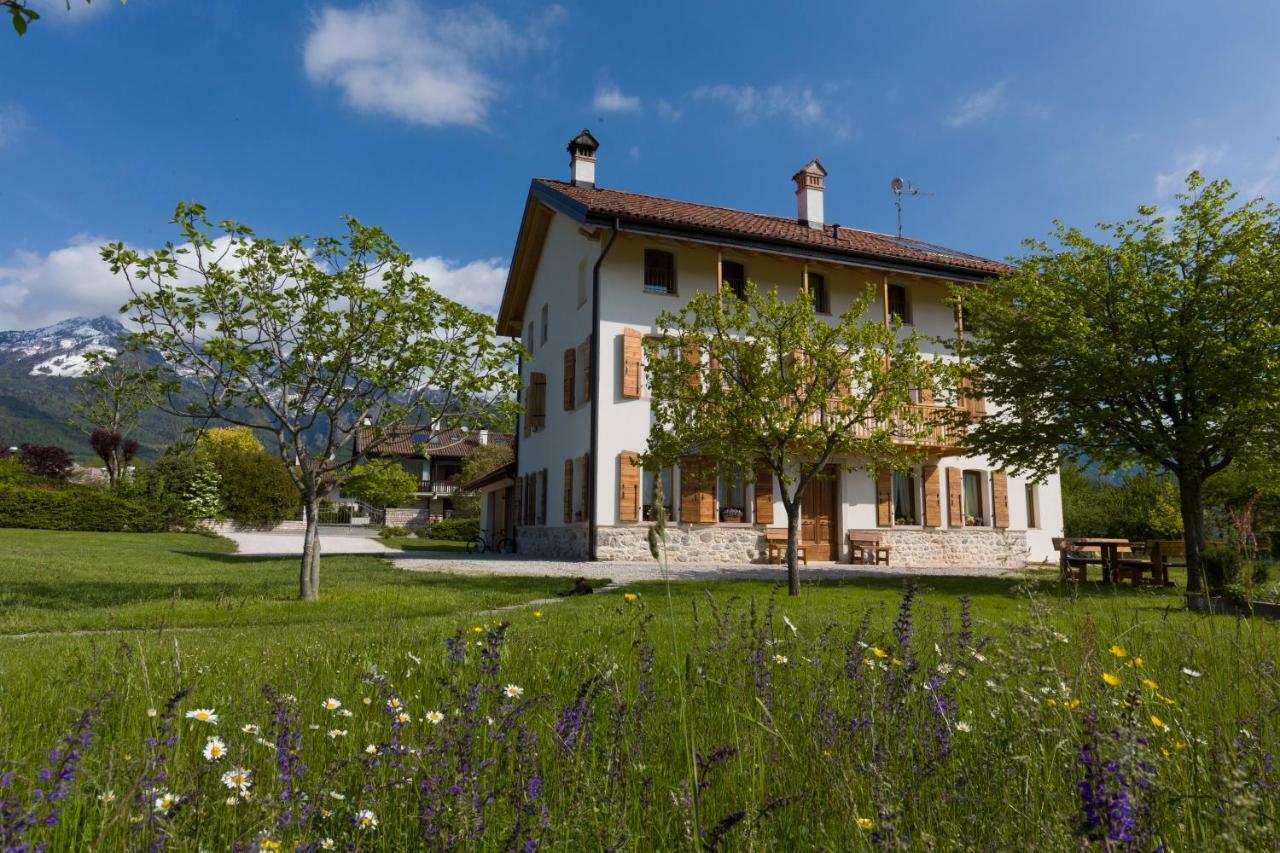 Hotel Lio e Lara Feltre Esterno foto